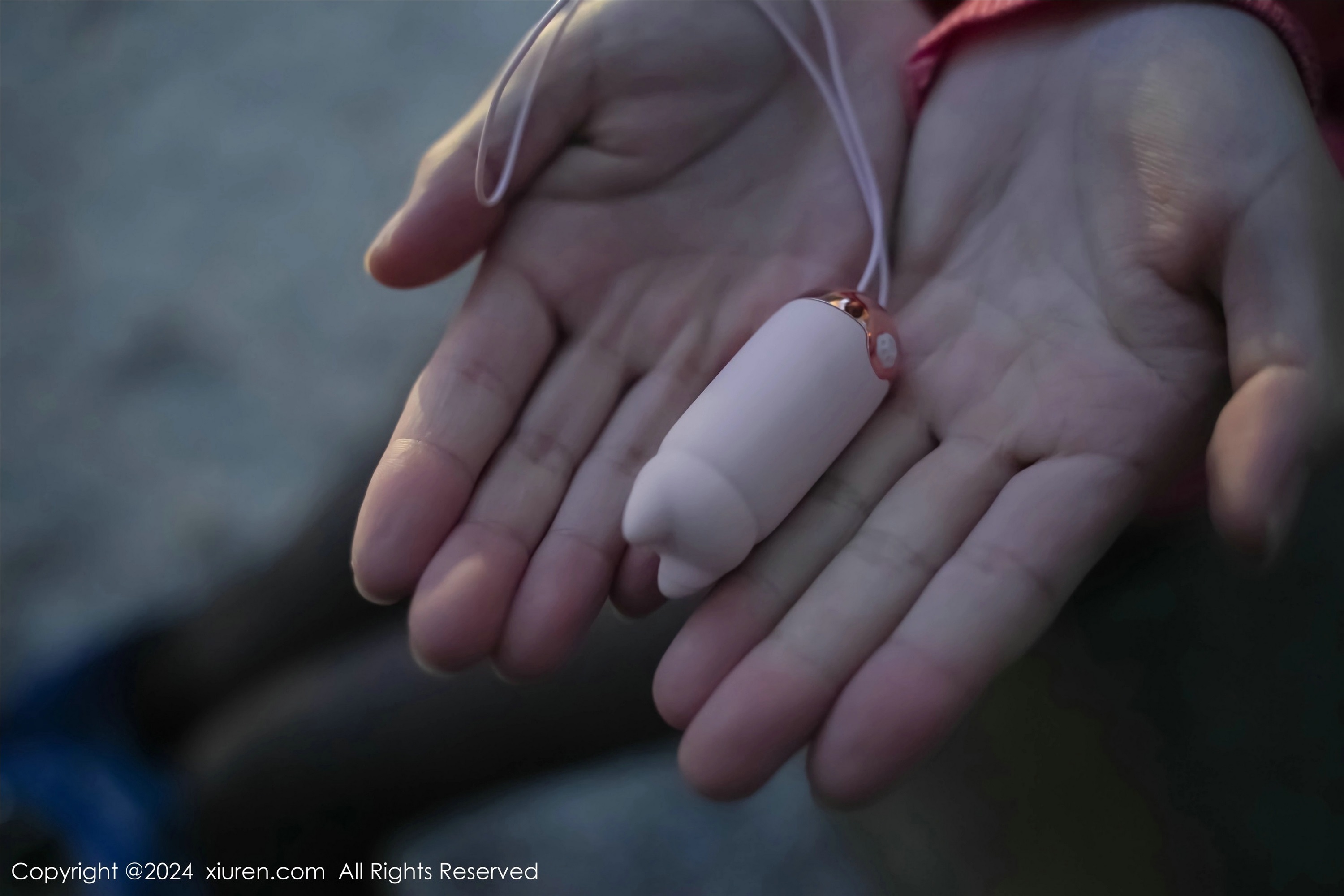 Xiuren秀人网 2024.02.08 NO.8091 龙雪儿